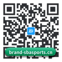 iPhone 与 iPad 专享端 二维码